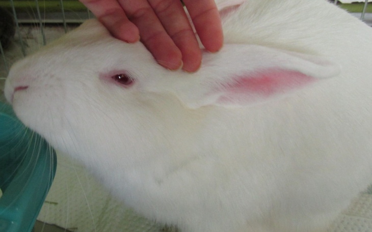 Zbiórka Proszę, pomóż Frankowi - zdjęcie główne