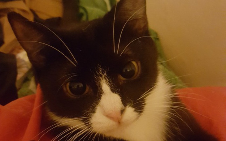 Zbiórka z rowerem bez roweru - zdjęcie główne