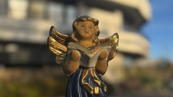 Zbiórka Kolęda Dla Hospicjum 2025 - miniaturka zdjęcia