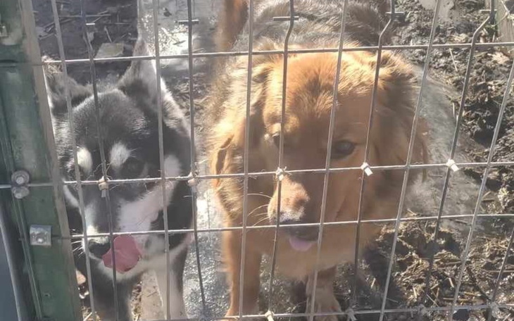 Zbiórka CHCEMY być WRESZCIE WOLNE - zdjęcie główne