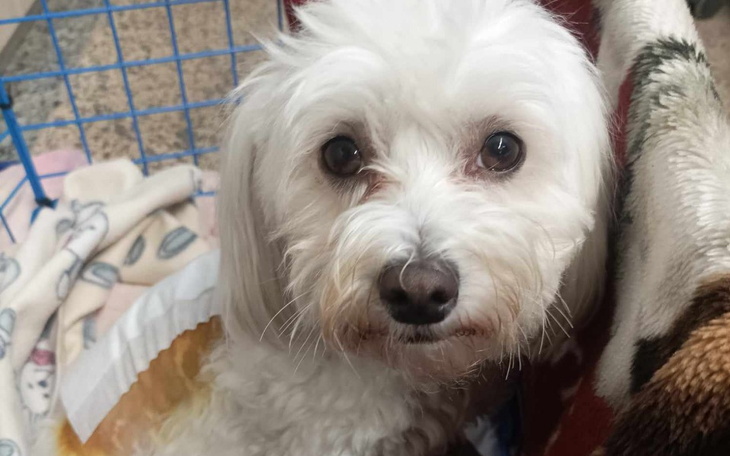 Zbiórka Rehabilitacje dla naszej Zuzi - zdjęcie główne