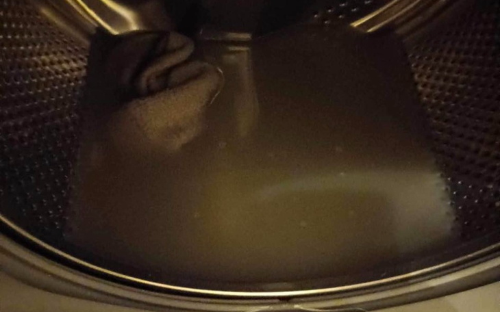 Zbiórka Pralka dla kociakowa - zdjęcie główne