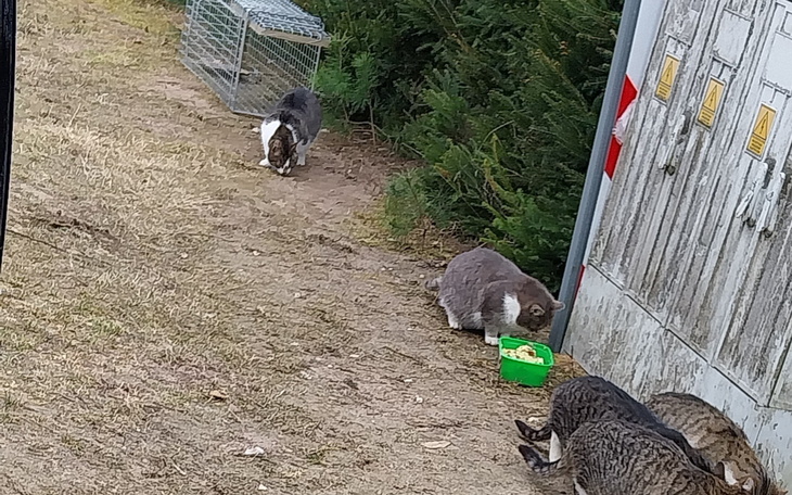 Osoba trzymająca kartkę z informacjami o wsparciu.