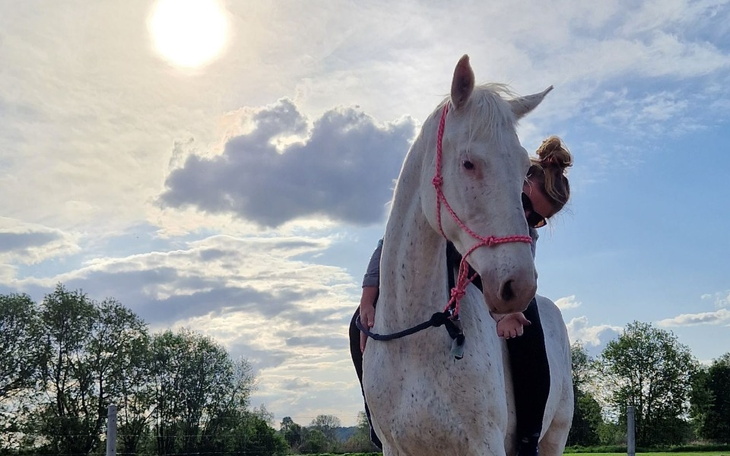 Zbiórka Uśmiech Zeklany - zdjęcie główne