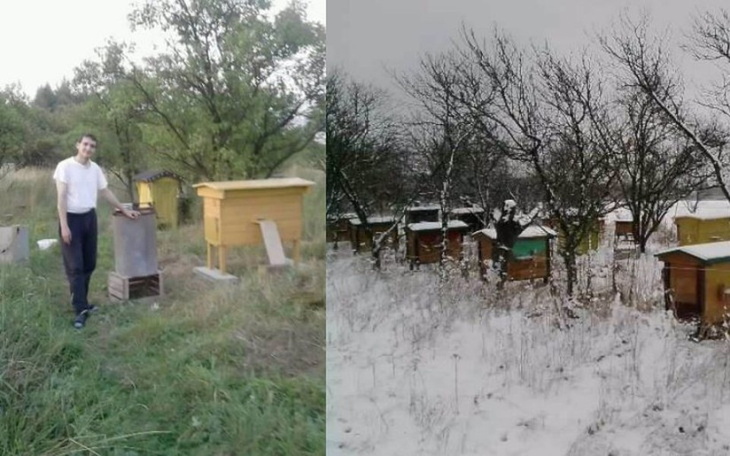 Zbiórka pomóż nam uratować pasiekę - zdjęcie główne