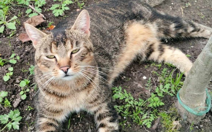 Zbiórka Nie dać się zimie - zdjęcie główne