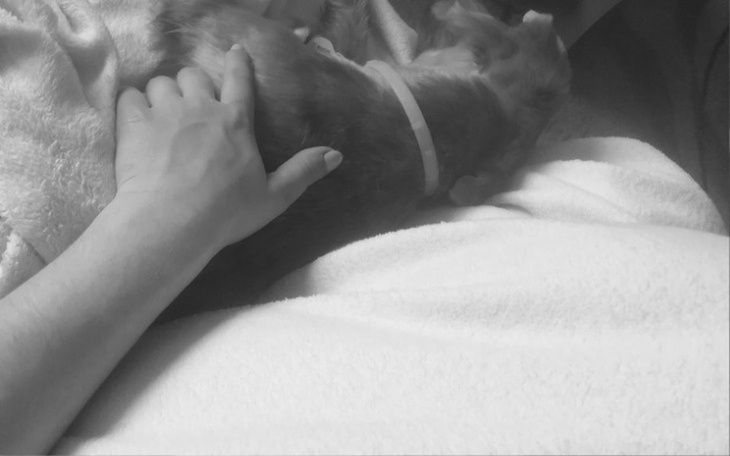 Zbiórka Na zjedzenie czegoś - zdjęcie główne