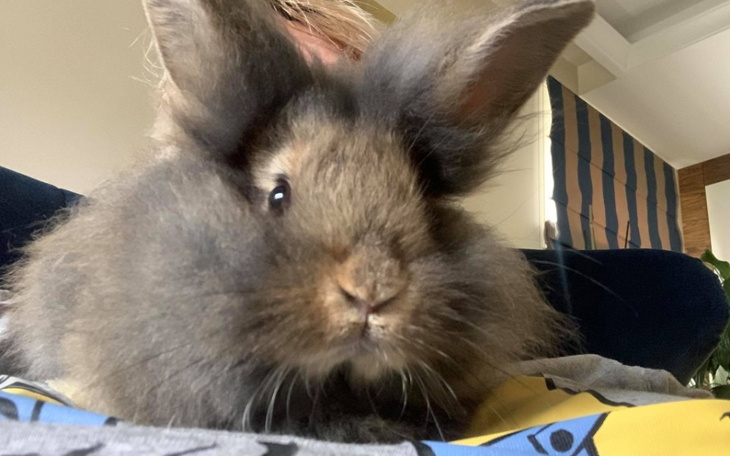 Zbiórka Miniazylowe znajdy - zdjęcie główne