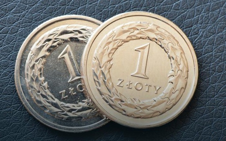 Zbiórka Daj pan ZŁOTÒWKĘ - zdjęcie główne