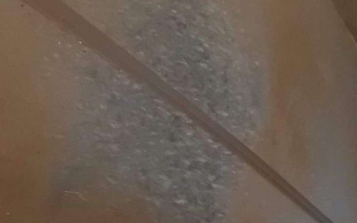 Zbiórka Remont mieszkania przez grzyb - zdjęcie główne