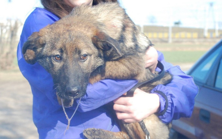 Zbiórka Harley zbiera na lecznie - zdjęcie główne