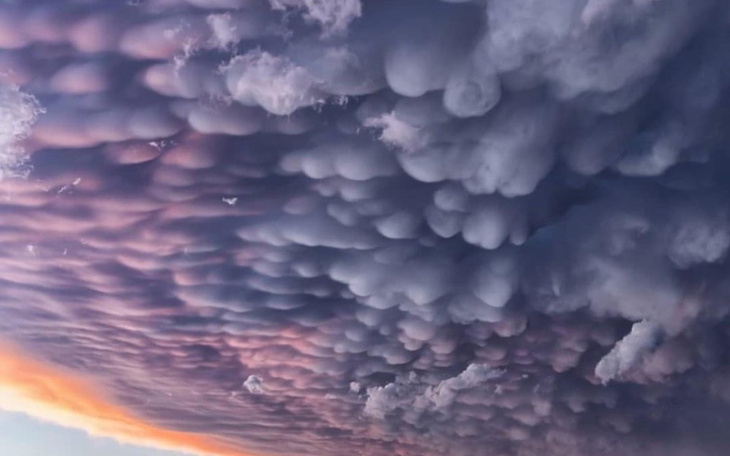 Zbiórka Walka z wiatrakami - zdjęcie główne