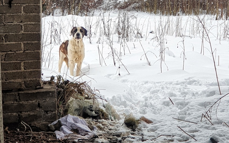 Zbiórka Chcę jej pomóc - zdjęcie główne