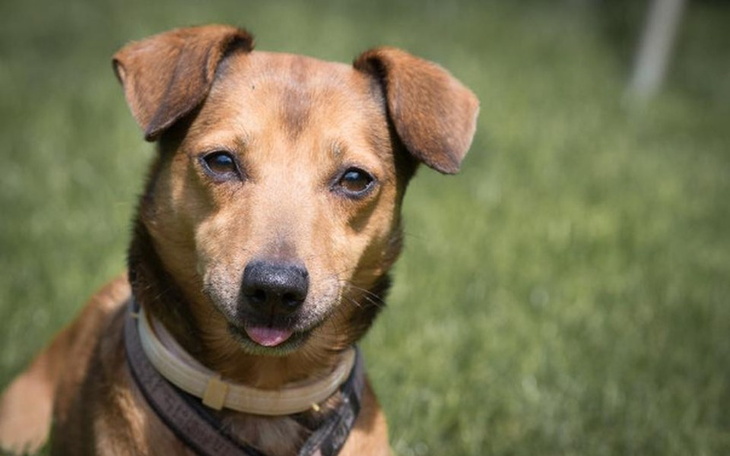 Zbiórka Osieroceni2 - zdjęcie główne