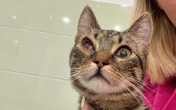 Zbiórka Walka z zapaleniem otrzewnej - zdjęcie główne