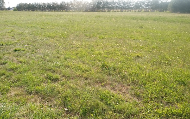 Zbiórka Pilne działka na dom - zdjęcie główne