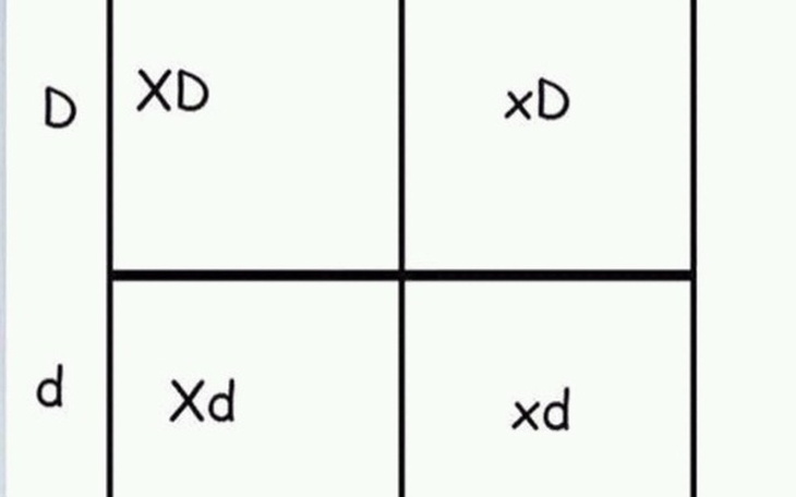 Zbiórka Obstawianie - zdjęcie główne