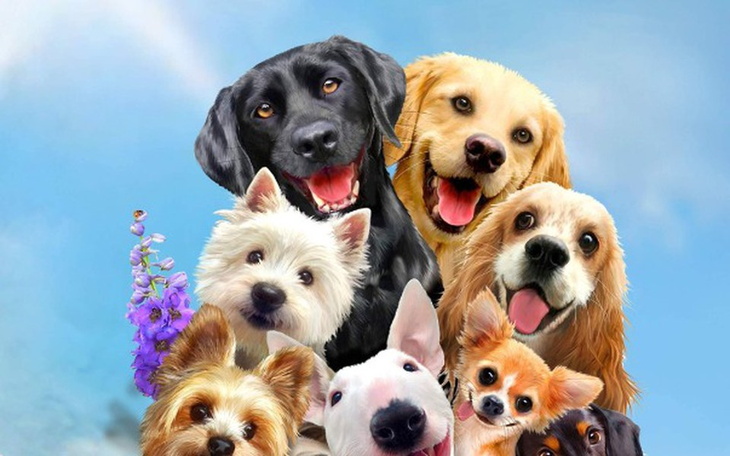 Zbiórka Zbieram na mieszkanie własne - zdjęcie główne