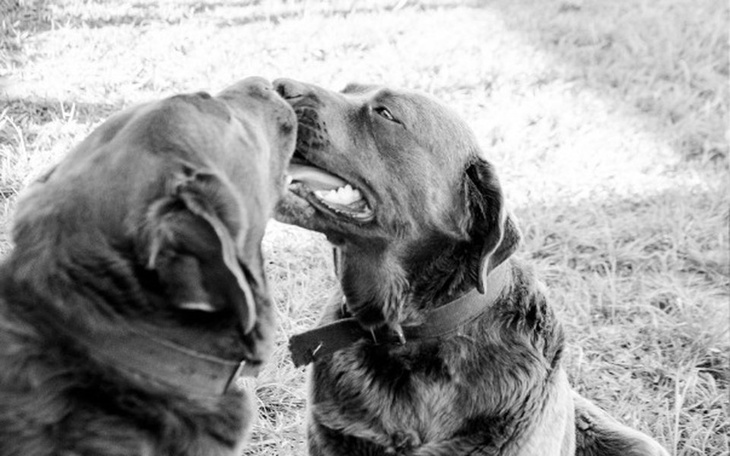 Zbiórka Brakuje nam jeszcze 840 zł! - zdjęcie główne