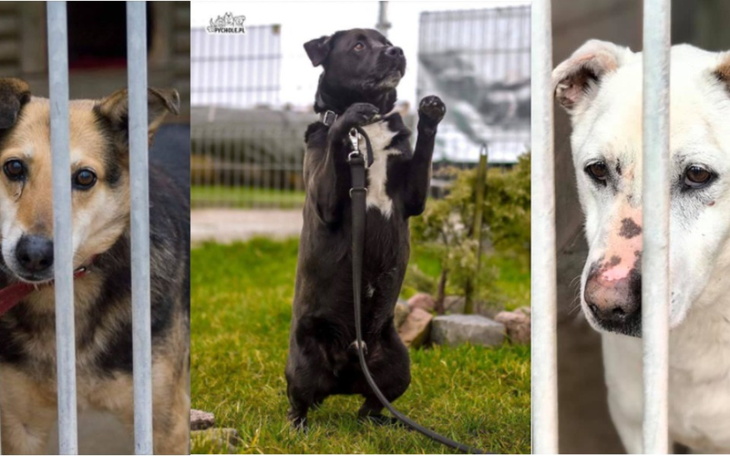 Zbiórka Wsparcie 7 Wspaniałych - zdjęcie główne