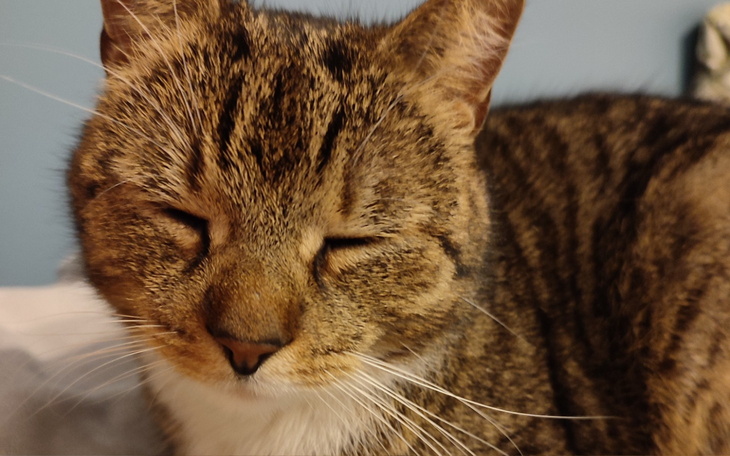 Zamknięty dom po pożarze, zniszczenia widoczne.