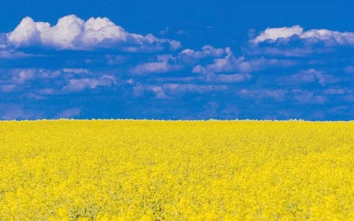 Zbiórka Medykamenty na Ukrainę - zdjęcie główne