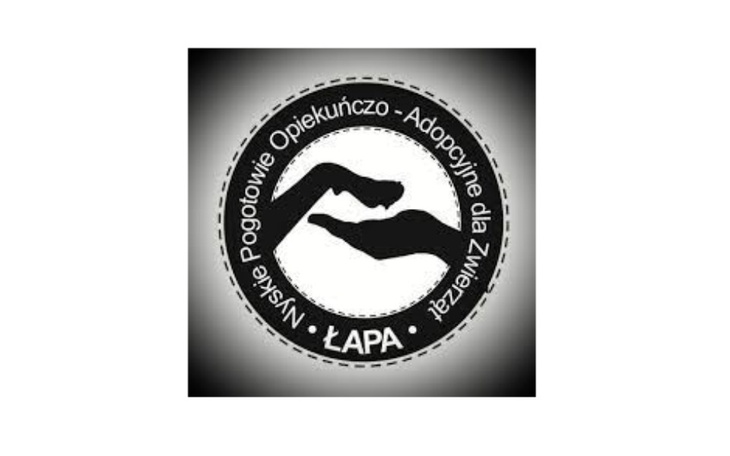 Zbiórka DMC - pomoc zwierzętom z Ukrainy - zdjęcie główne