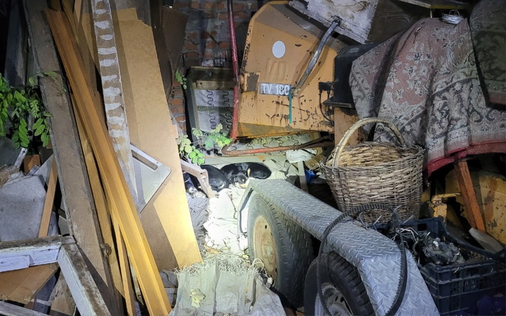 Zbiórka Gehenna psów w Lichawie - zdjęcie główne