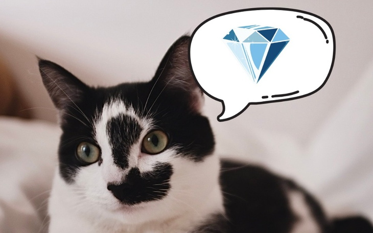 Zbiórka Dziunia i kamienie szlachetne - zdjęcie główne