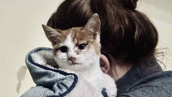 Zbiórka UMIERA bo nie stać nas na leki.. - miniaturka zdjęcia