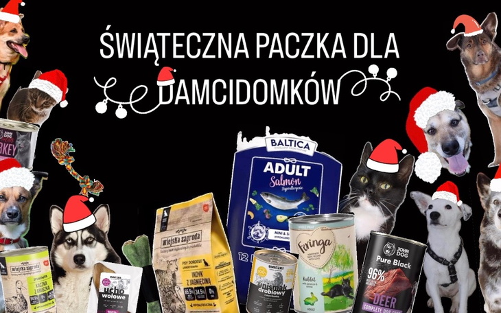 Kolaż z psami i jedzeniem, z świątecznymi akcentami.