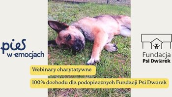 Zbiórka Pomóż razem z nami przygotować psy na zimę - miniaturka zdjęcia