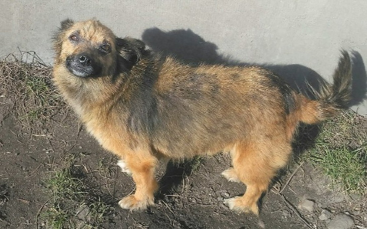 Zbiórka Chora porzucona na CPN - zdjęcie główne