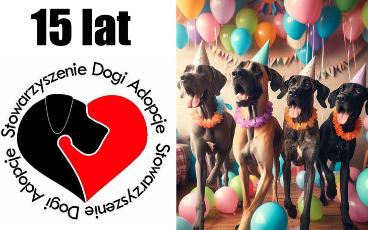 Zbiórka Urodzinowa zbiórka SDA - zdjęcie główne