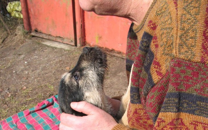 Zbiórka Remont domu zwierzoluba - zdjęcie główne