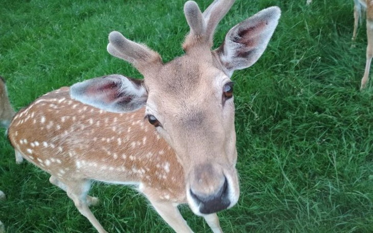 Zbiórka Jestescie KOCHANI - zdjęcie główne