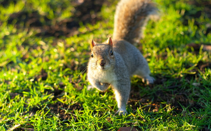 Zbiórka na rachunki i jedzenie do 10.12 - zdjęcie główne