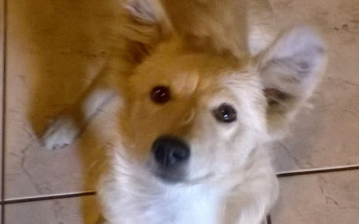 Zbiórka Kajtek - zdjęcie główne