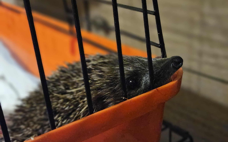 Ręcznie pisany list, wyrażający osobiste uczucia i myśli.