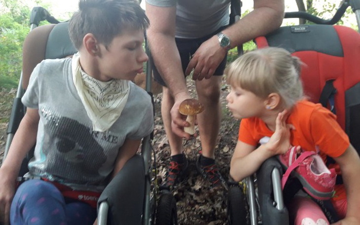 Zbiórka Na wózki - zdjęcie główne