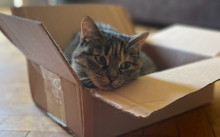 Zbiórka Rezonans kręgosłupa dla Belli - zdjęcie główne