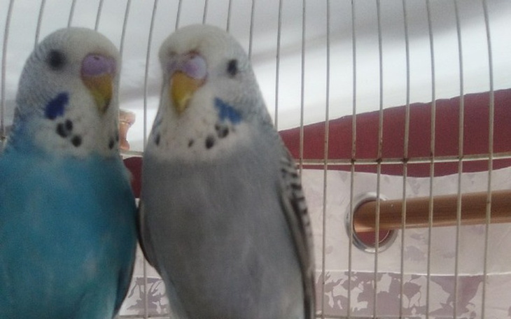 Zbiórka chatka Puchatka - zdjęcie główne