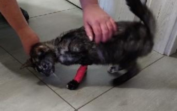 Zbiórka Pomóż Matyldzie wygrać Życie - zdjęcie główne