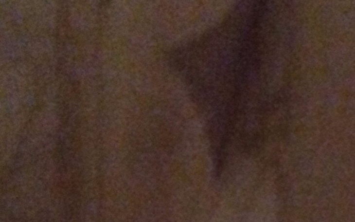 Zbiórka Remont 9 - zdjęcie główne