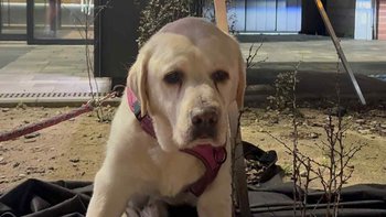 Zbiórka Roman Pestka - reaktywacja - miniaturka zdjęcia