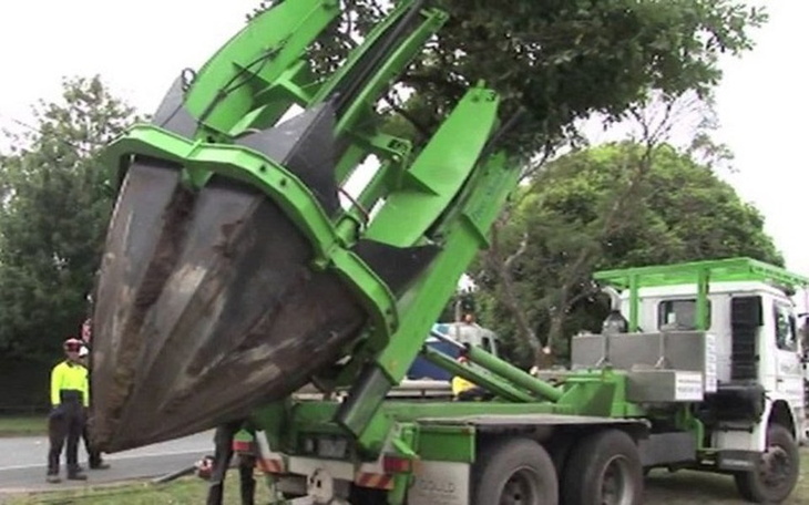 Zbiórka Save Trees machine - zdjęcie główne