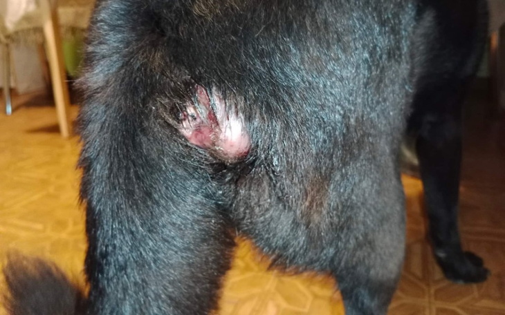 Zbiórka EUTANAZJI mówimy nie, walczymy - zdjęcie główne