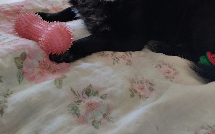 Zbiórka Trudna sytuacja ekonomiczna - zdjęcie główne