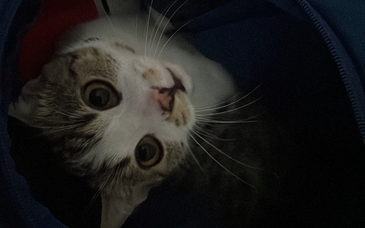 Zbiórka Na lepszą przyszłość i start - zdjęcie główne