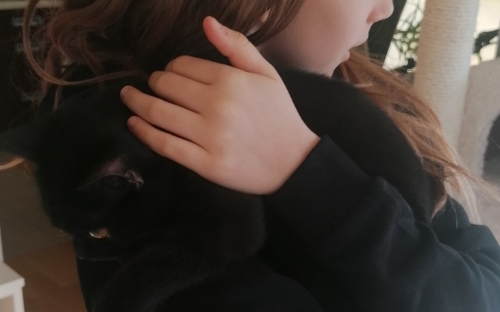 Zbiórka Pomóż uratować życie Qauntum - zdjęcie główne